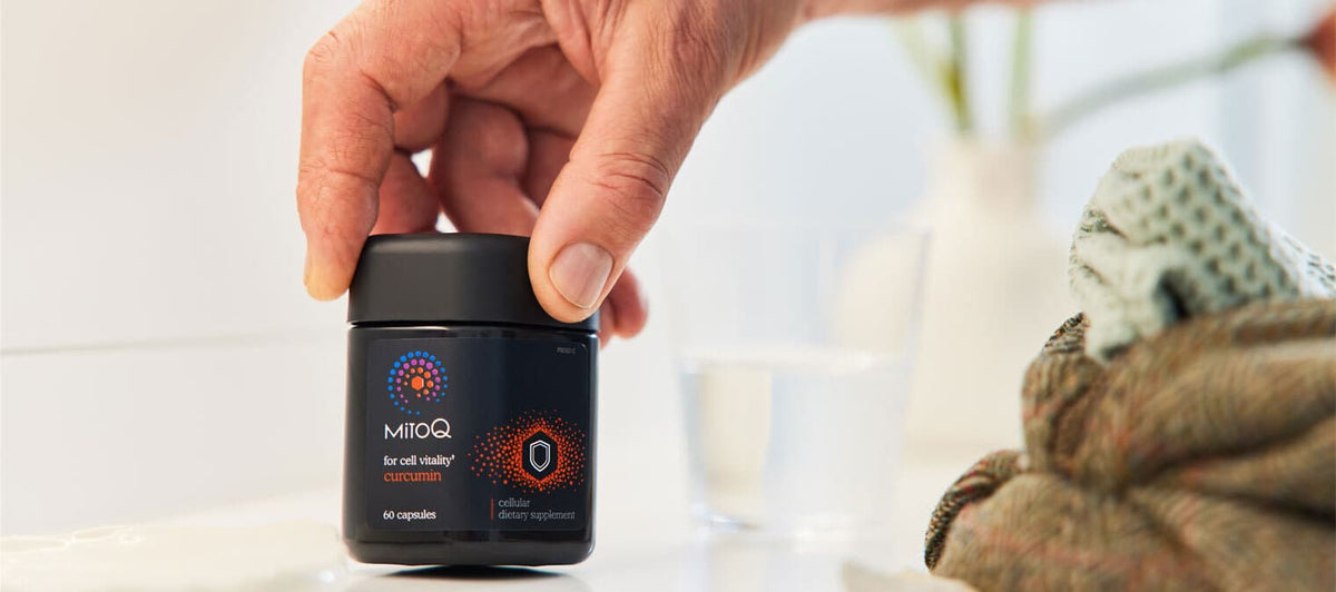 Brain health and how MitoQ helps