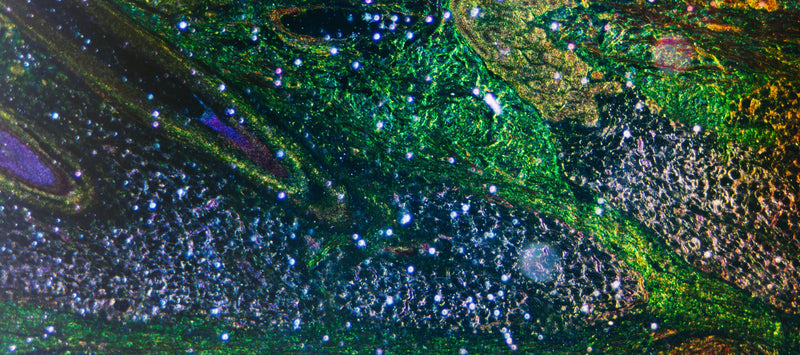 Thumbnail for The mighty mitochondria