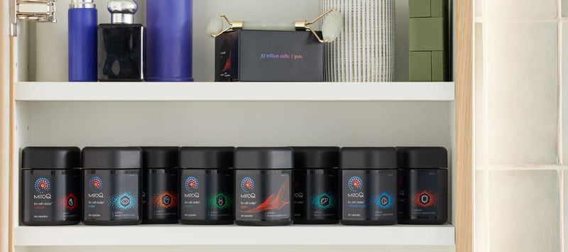 Thumbnail for Your questions answered: everything you want to know about MitoQ