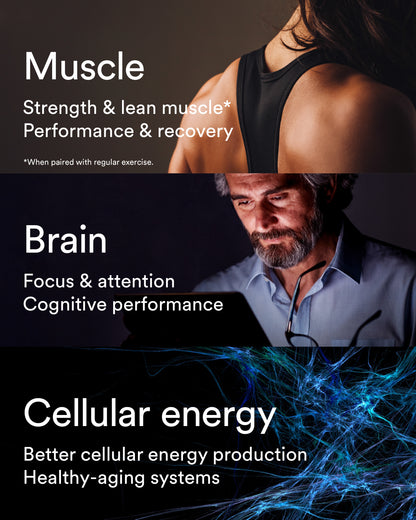 Benefits for muscle, brain and cells