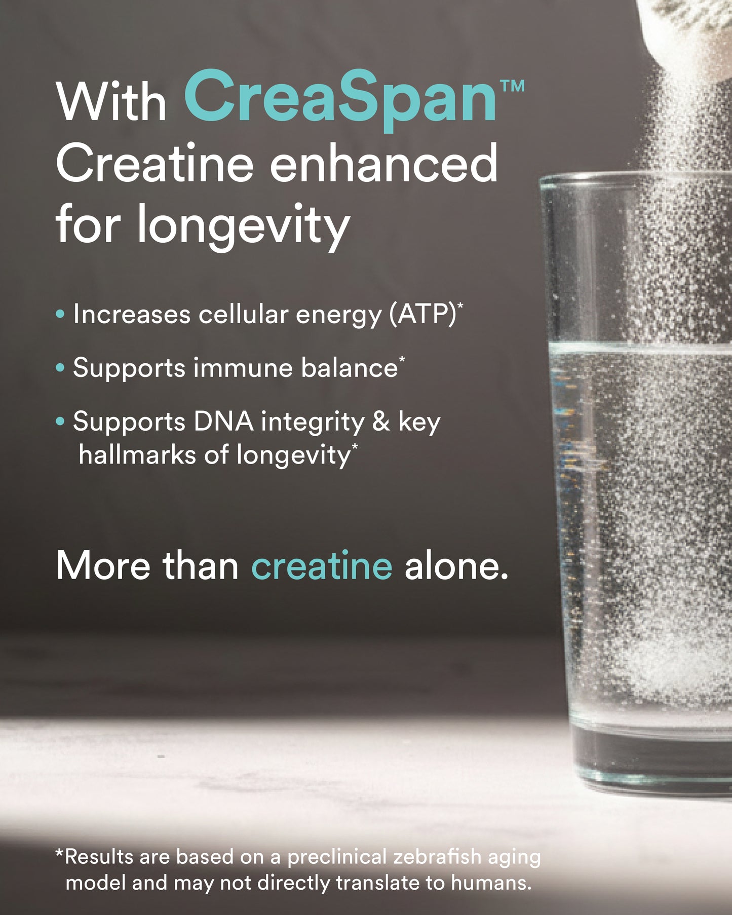 MitoQ longevity creatine complex