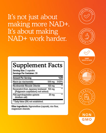 MitoQ NAD+ dual action